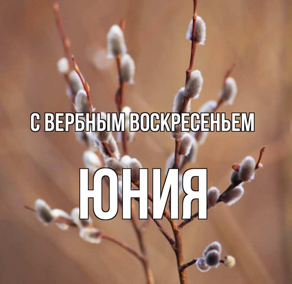 Открытка на каждый день с именем, Юния С вербным воскресеньем верба Прикольная открытка с пожеланием онлайн скачать бесплатно 