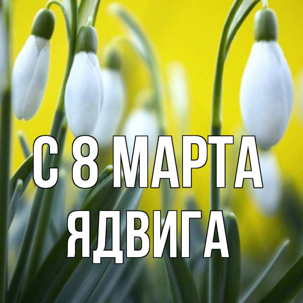 Открытка на каждый день с именем, Ядвига С 8 МАРТА весенние цветы Прикольная открытка с пожеланием онлайн скачать бесплатно 