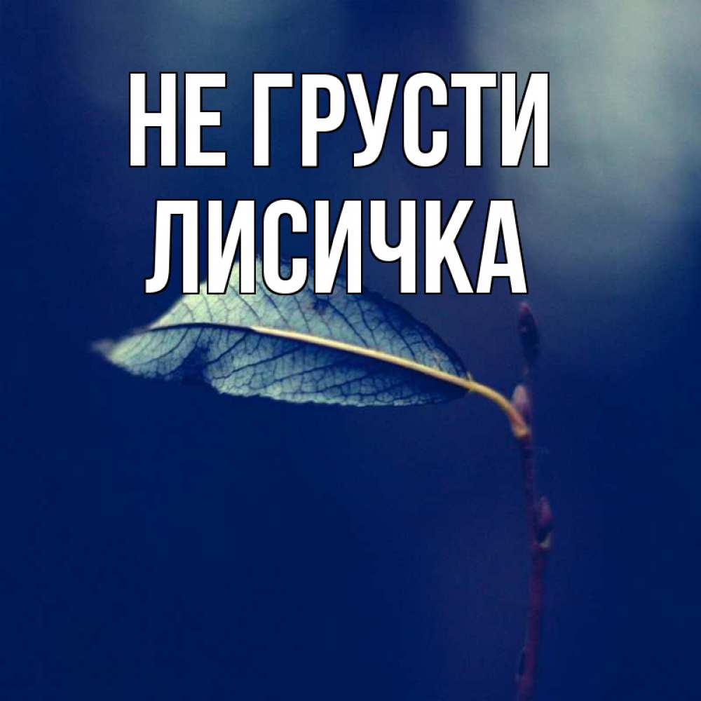 Скучаю Лиса Картинки