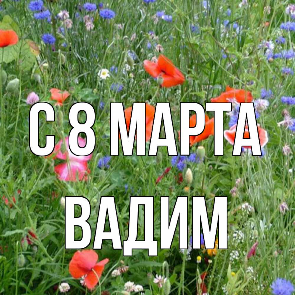 Открытка на каждый день с именем, Вадим С 8 МАРТА международный женский день 4 Прикольная открытка с пожеланием онлайн скачать бесплатно 