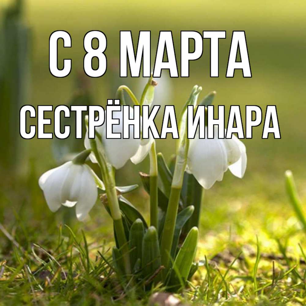 Открытка на каждый день с именем, Сестрёнка-Инара С 8 МАРТА ранние цветы 2 Прикольная открытка с пожеланием онлайн скачать бесплатно 