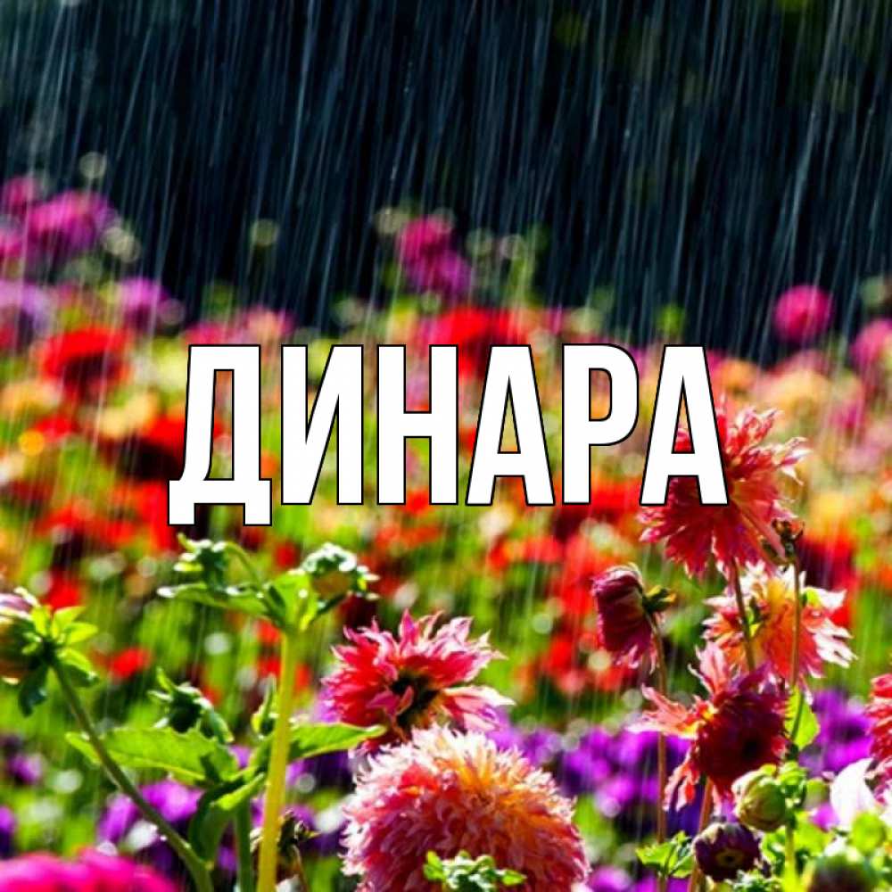 Открытка на каждый день с именем, Динара Главная цветы под дождиком к международному женскому дню Прикольная открытка с пожеланием онлайн скачать бесплатно 