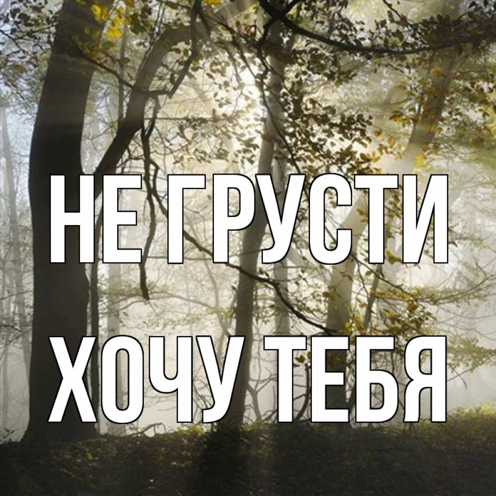 Картинка Не грусти, Хочу тебя