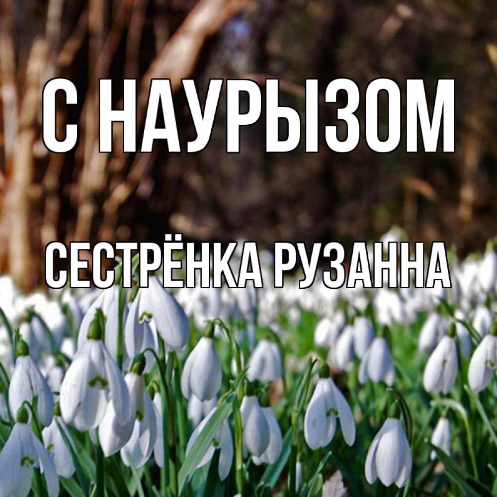 Открытка на каждый день с именем, Сестрёнка-Рузанна С наурызом с подснежниками 1 Прикольная открытка с пожеланием онлайн скачать бесплатно 