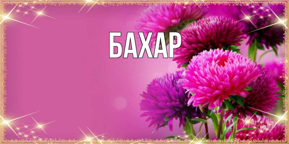 Открытка на каждый день с именем, Бахар Главная садовые цветы на наурыз Прикольная открытка с пожеланием онлайн скачать бесплатно 