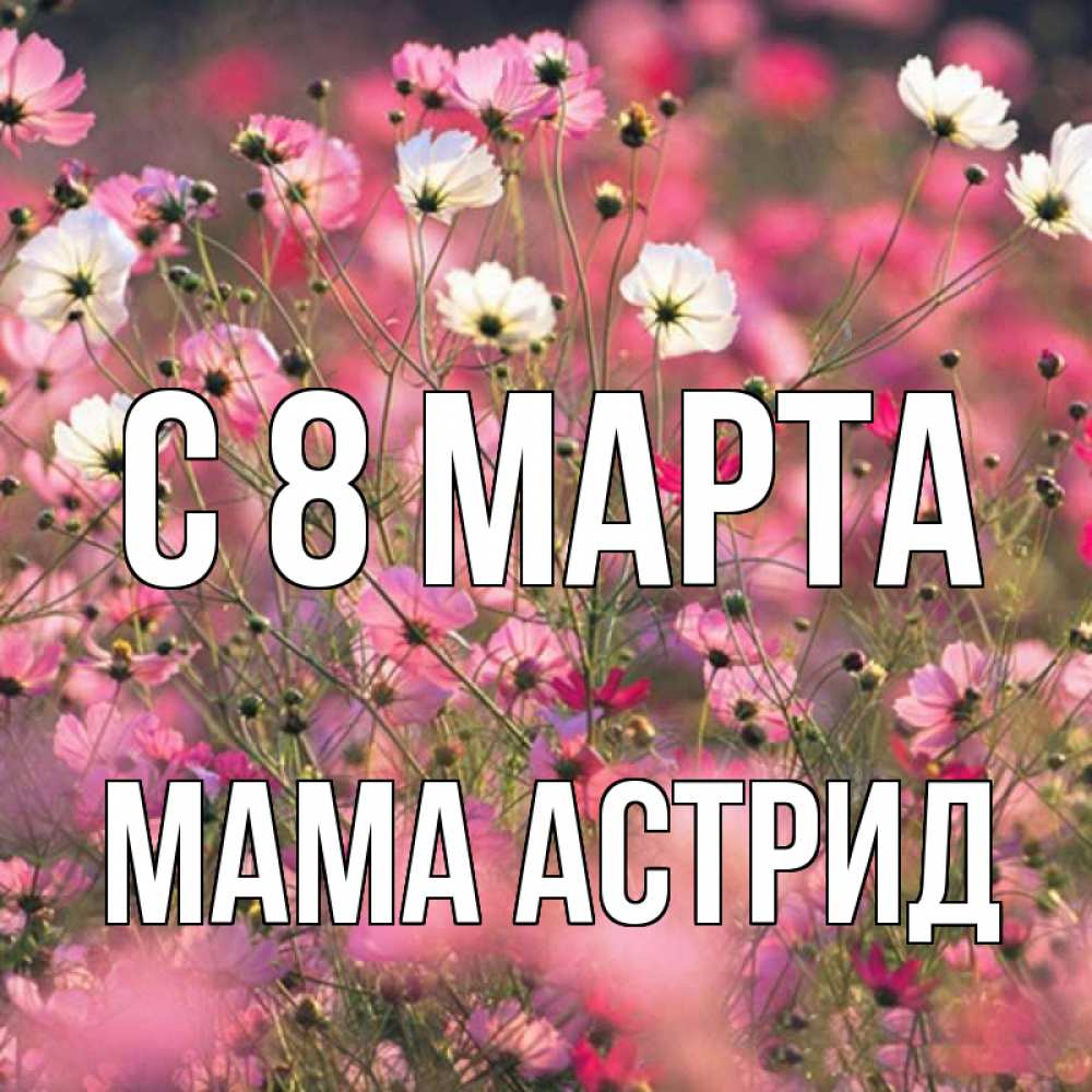 Открытка на каждый день с именем, Мама-Астрид С 8 МАРТА красиво 1 Прикольная открытка с пожеланием онлайн скачать бесплатно 