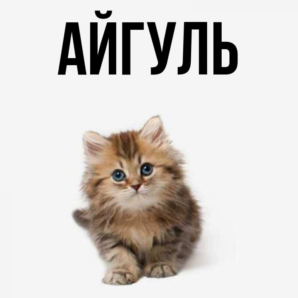 Айгуль Мем