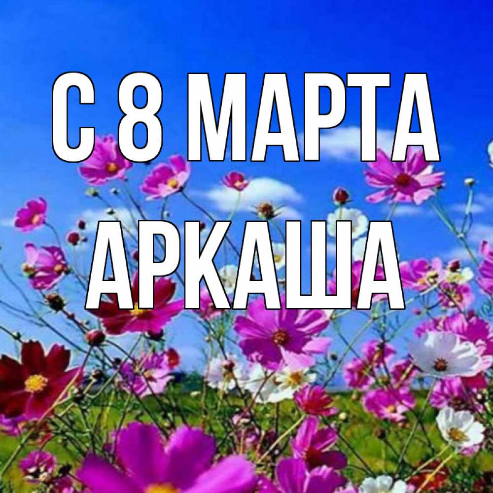 Открытка на каждый день с именем, Аркаша С 8 марта цветы Прикольная открытка с пожеланием онлайн скачать бесплатно 