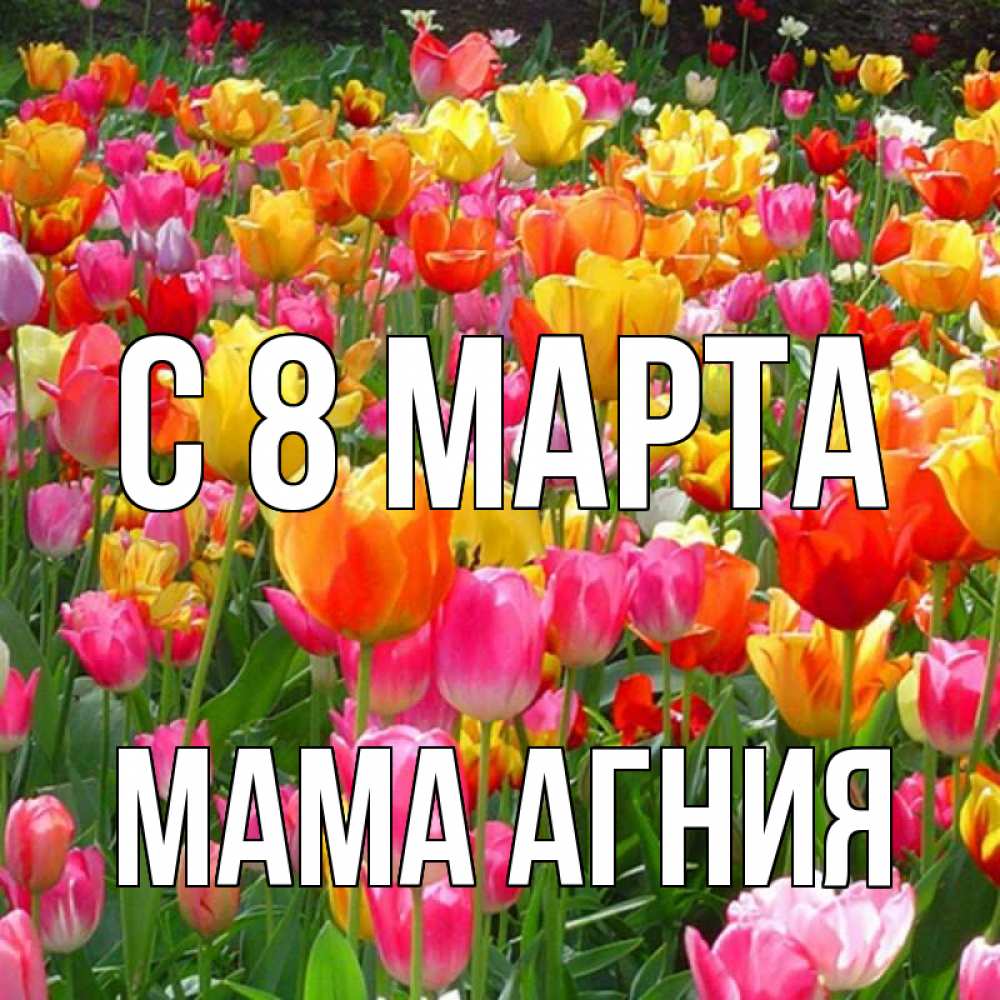 Открытка на каждый день с именем, Мама-Агния С 8 МАРТА на международный женский день Прикольная открытка с пожеланием онлайн скачать бесплатно 