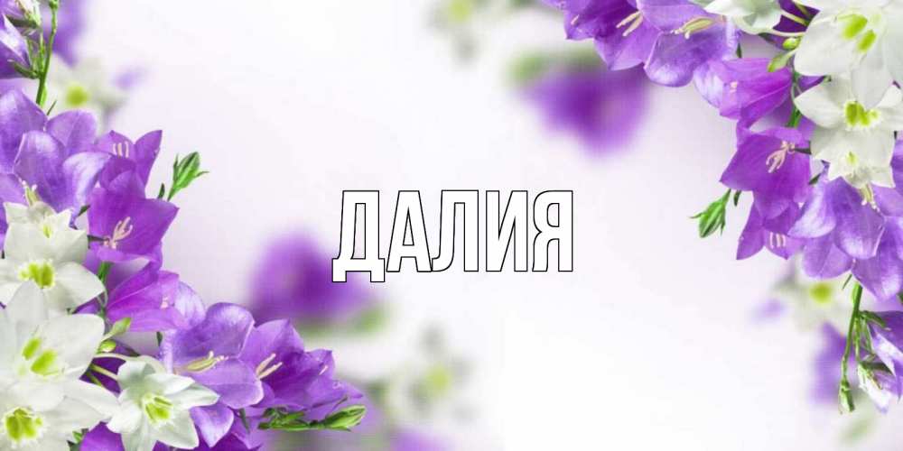 Картинка  с именем , Далия