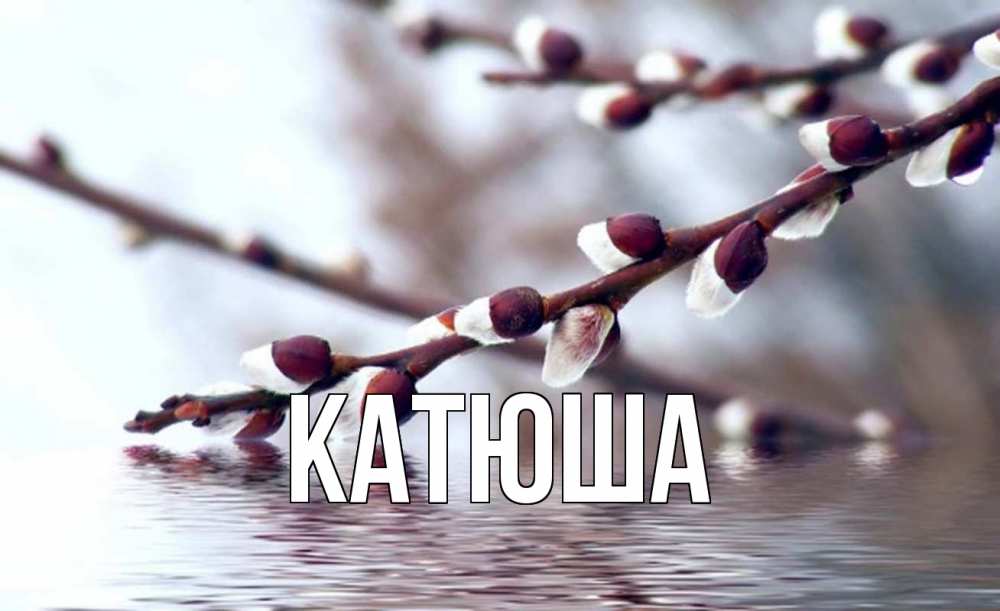 Открытка на каждый день с именем, Катюша Главная верба, ручей Прикольная открытка с пожеланием онлайн скачать бесплатно 