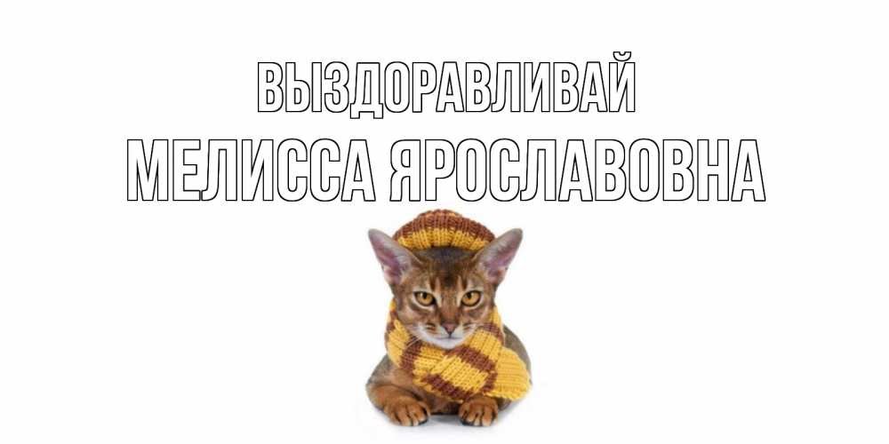 Картинка Выздоравливай, Мелисса Ярославовна