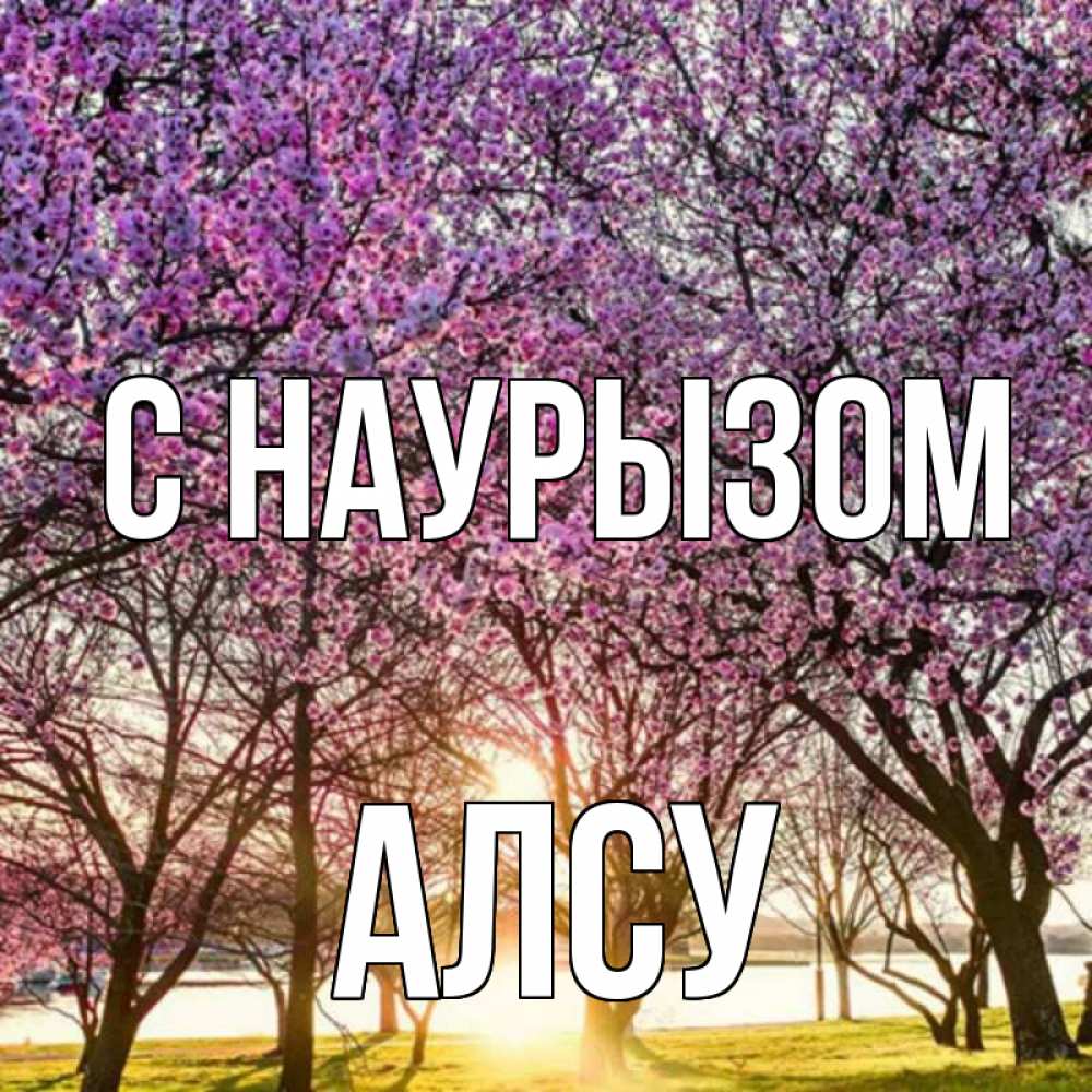 Открытка на каждый день с именем, Алсу С наурызом праздник весны наурыз Прикольная открытка с пожеланием онлайн скачать бесплатно 
