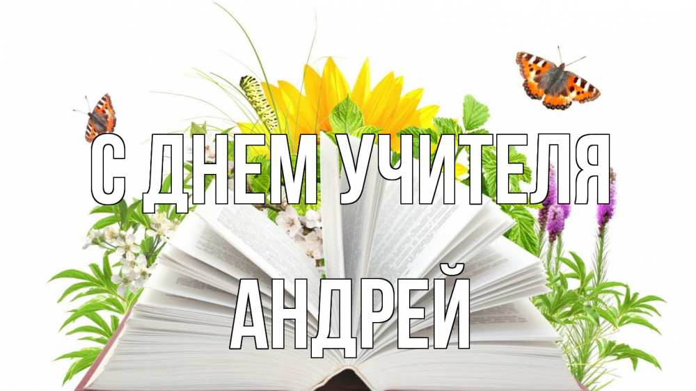 Открытка на каждый день с именем, Андрей С днем учителя с днем учителя Прикольная открытка с пожеланием онлайн скачать бесплатно 