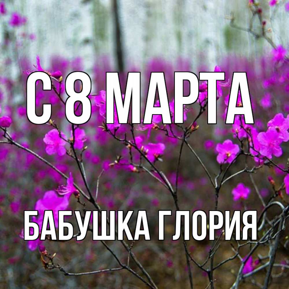 Открытка на каждый день с именем, Бабушка-Глория С 8 МАРТА дикие цветы Прикольная открытка с пожеланием онлайн скачать бесплатно 