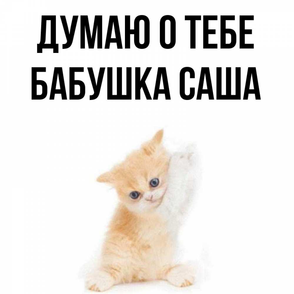 Открытка на каждый день с именем, Бабушка-Саша Думаю о тебе зверушки и милота Прикольная открытка с пожеланием онлайн скачать бесплатно 