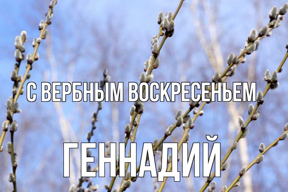 Открытка на каждый день с именем, Геннадий С вербным воскресеньем верба Прикольная открытка с пожеланием онлайн скачать бесплатно 