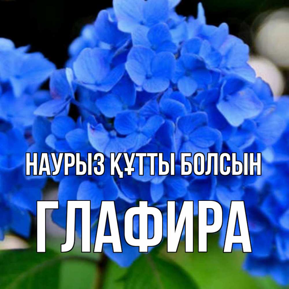 Открытка на каждый день с именем, Глафира Наурыз құтты болсын синие цветы Прикольная открытка с пожеланием онлайн скачать бесплатно 