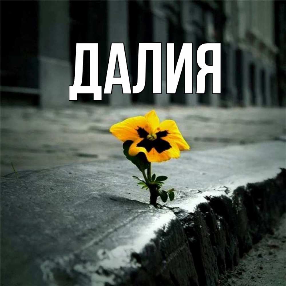 Открытка на каждый день с именем, Далия Главная не сдавайся Прикольная открытка с пожеланием онлайн скачать бесплатно 
