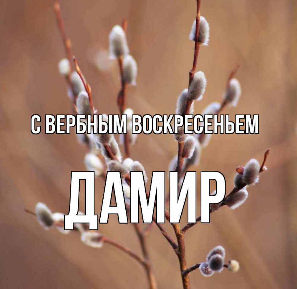 Открытка на каждый день с именем, Дамир С вербным воскресеньем верба Прикольная открытка с пожеланием онлайн скачать бесплатно 