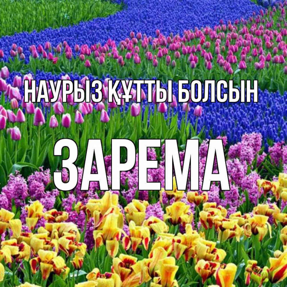 Открытка на каждый день с именем, Зарема Наурыз құтты болсын цветы Прикольная открытка с пожеланием онлайн скачать бесплатно 