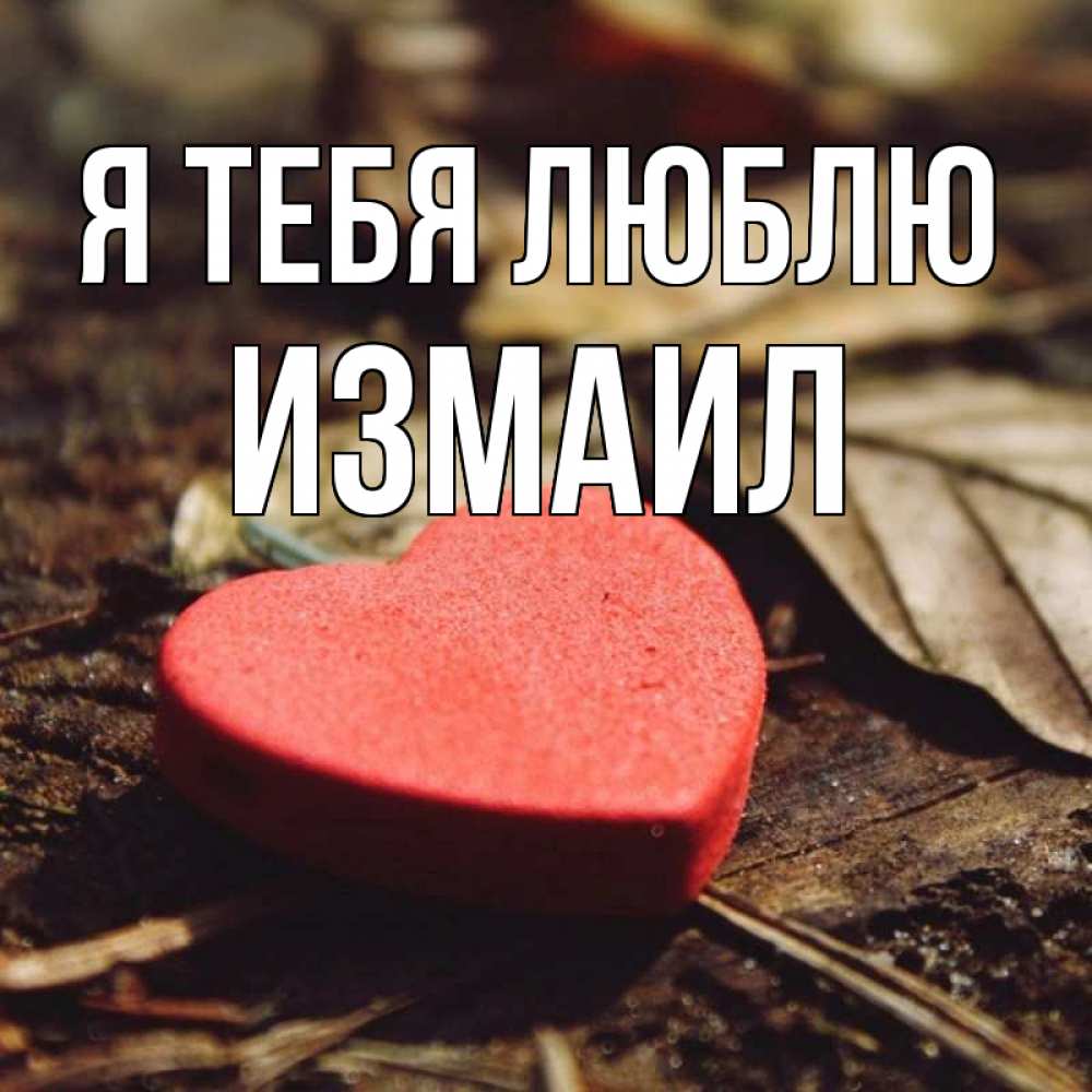 Открытка на каждый день с именем, Измаил Я тебя люблю листья деревье 4 Прикольная открытка с пожеланием онлайн скачать бесплатно 