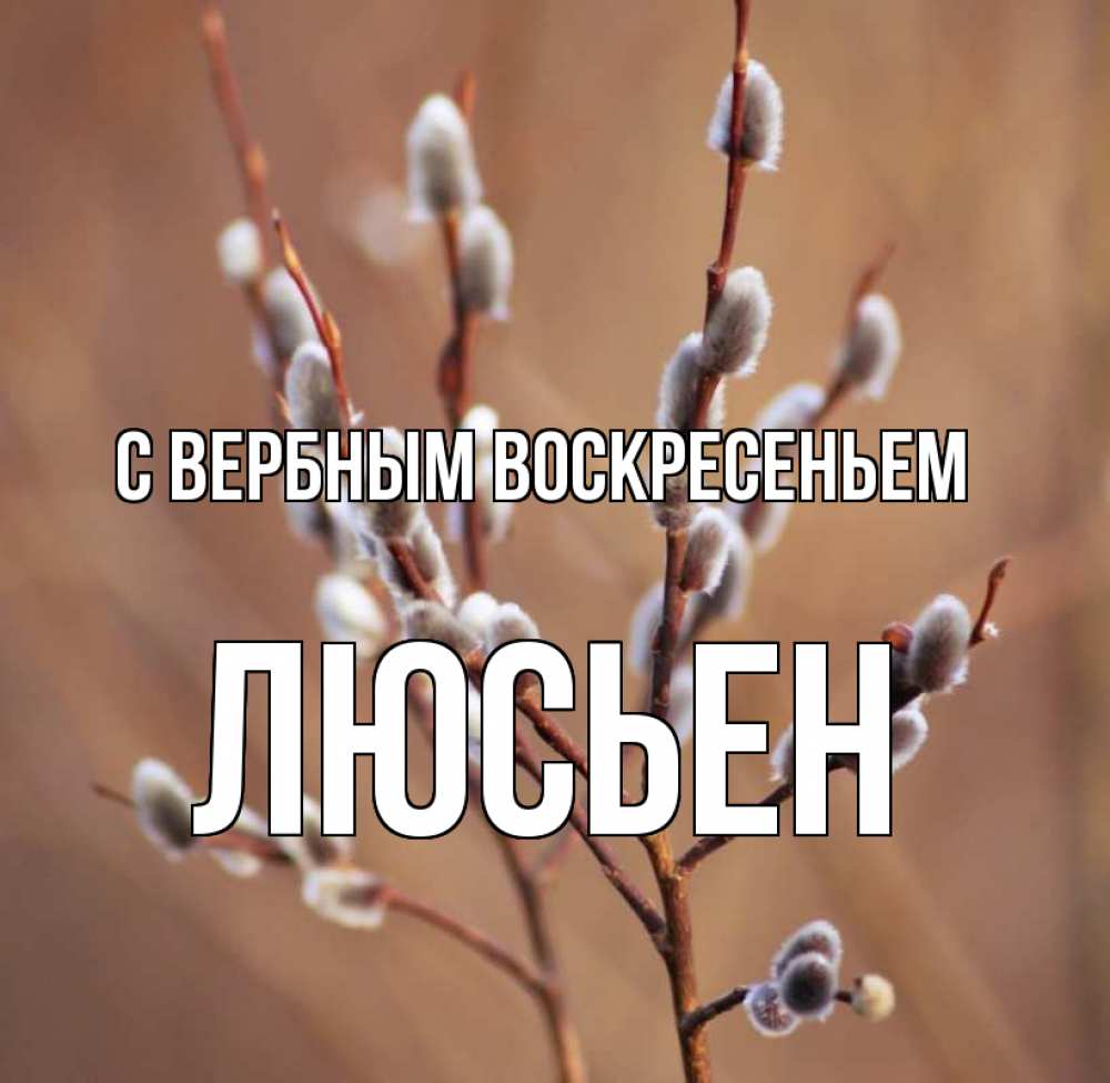 Открытка на каждый день с именем, Люсьен С вербным воскресеньем верба Прикольная открытка с пожеланием онлайн скачать бесплатно 