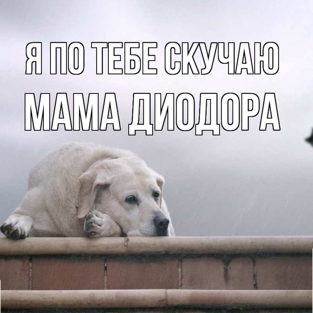 Открытка на каждый день с именем, Мама-Диодора Я по тебе скучаю ждет Прикольная открытка с пожеланием онлайн скачать бесплатно 