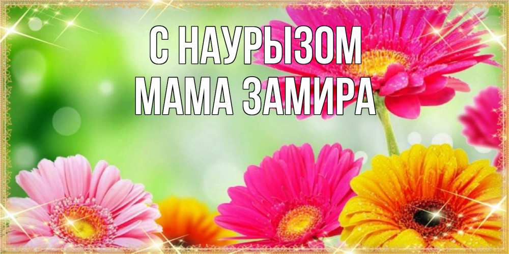 Открытка на каждый день с именем, Мама-Замира С наурызом цветочки для любимой женщины Прикольная открытка с пожеланием онлайн скачать бесплатно 