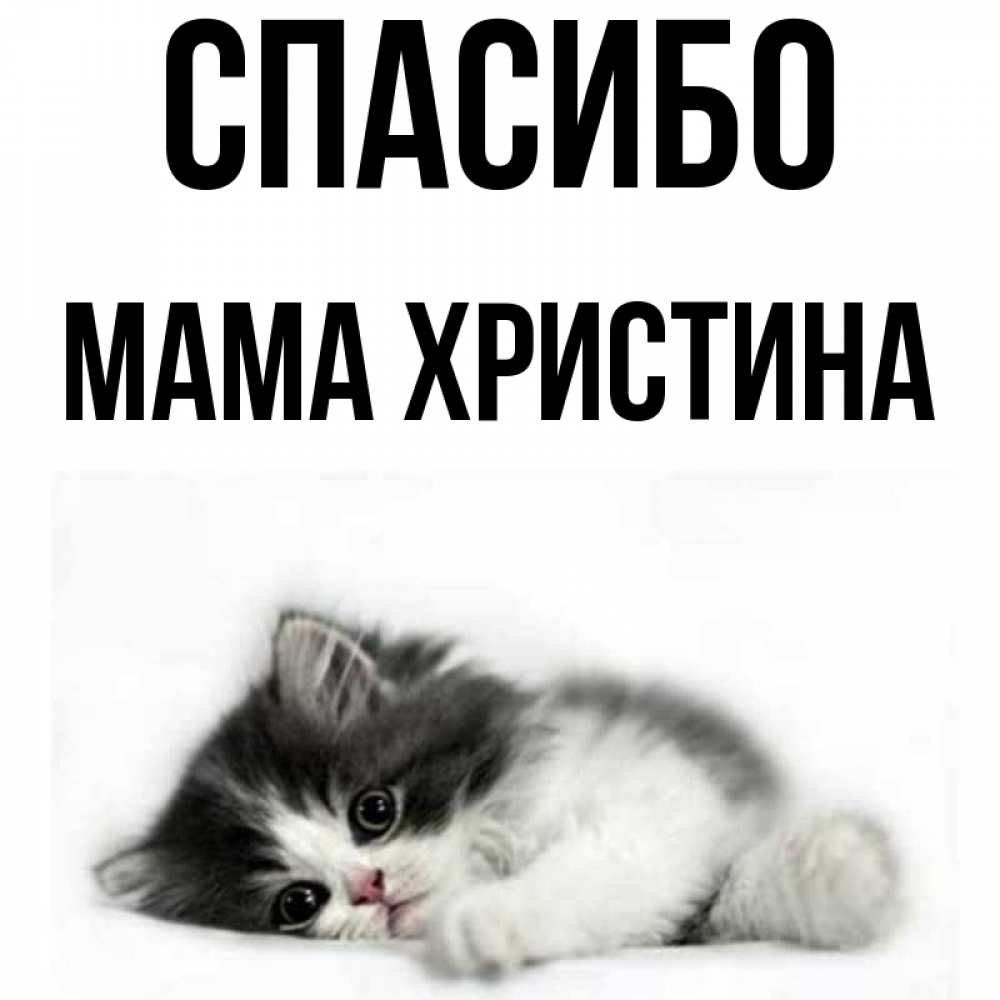 Открытка на каждый день с именем, Мама-Христина Спасибо черный и белый кот Прикольная открытка с пожеланием онлайн скачать бесплатно 