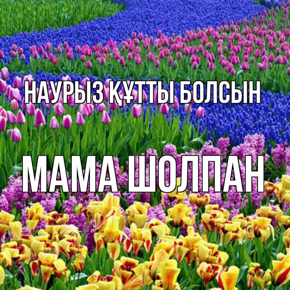 Открытка на каждый день с именем, Мама-Шолпан Наурыз құтты болсын цветы Прикольная открытка с пожеланием онлайн скачать бесплатно 