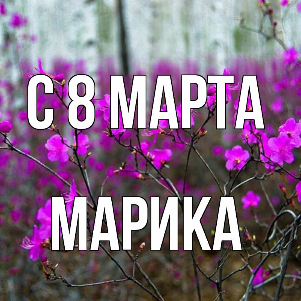 Открытка на каждый день с именем, Марика С 8 МАРТА дикие цветы Прикольная открытка с пожеланием онлайн скачать бесплатно 