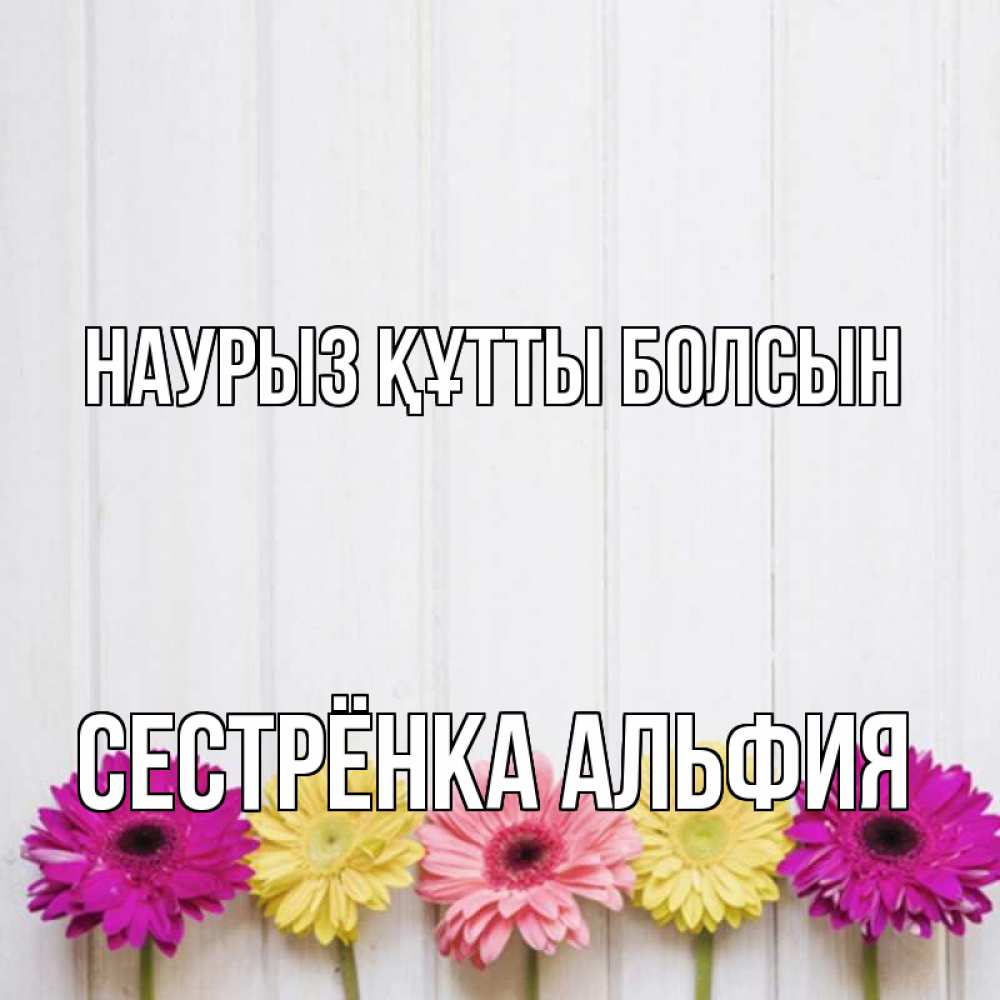 Открытка на каждый день с именем, Сестрёнка-Альфия Наурыз құтты болсын женщинам 1 Прикольная открытка с пожеланием онлайн скачать бесплатно 