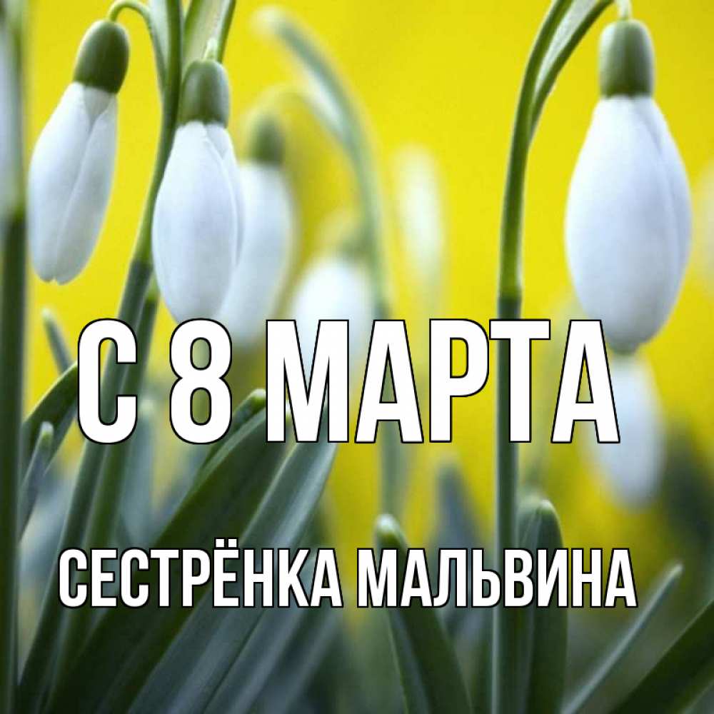 Открытка на каждый день с именем, Сестрёнка-Мальвина С 8 МАРТА весенние цветы Прикольная открытка с пожеланием онлайн скачать бесплатно 