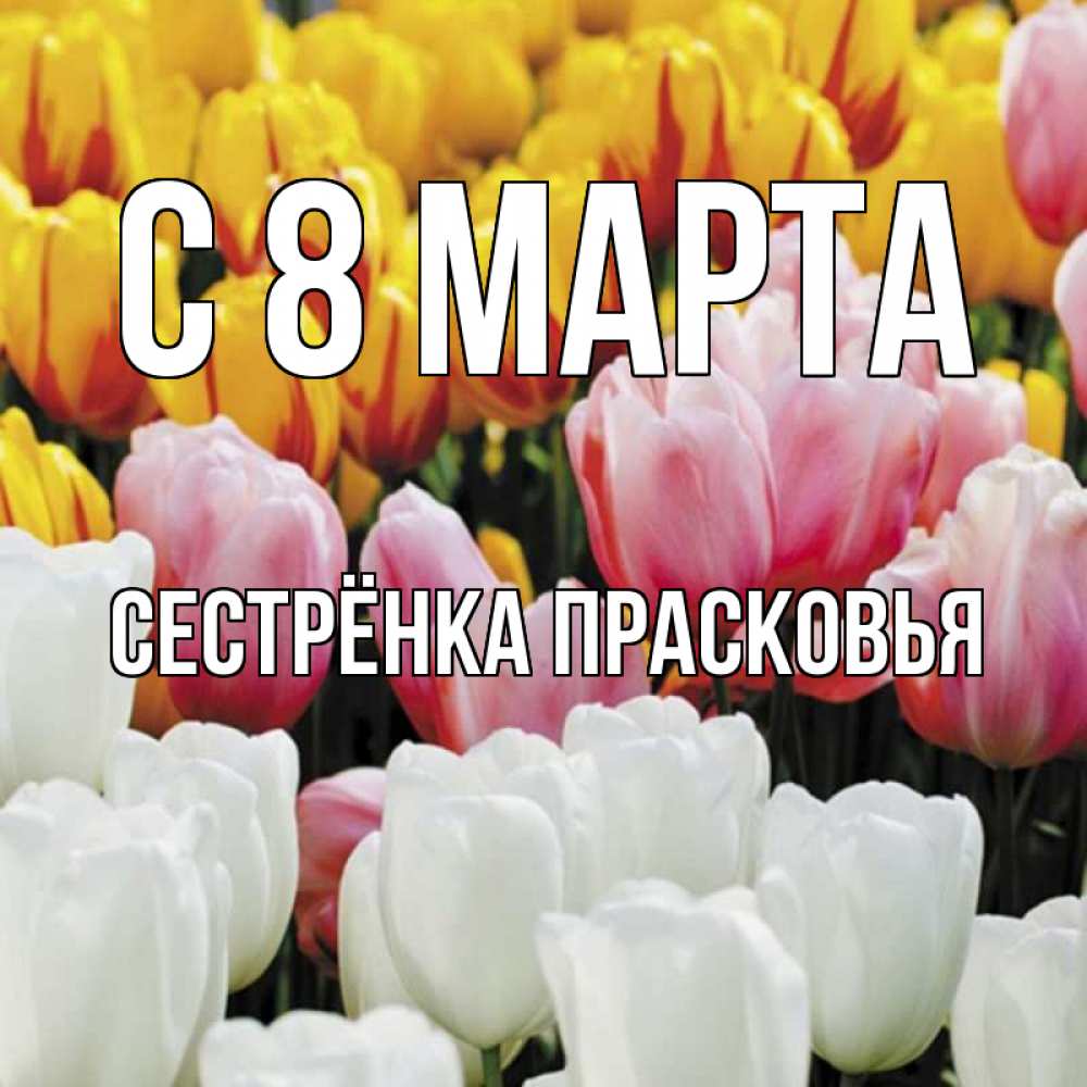 Открытка на каждый день с именем, Сестрёнка-Прасковья С 8 марта разноцветные цветы Прикольная открытка с пожеланием онлайн скачать бесплатно 