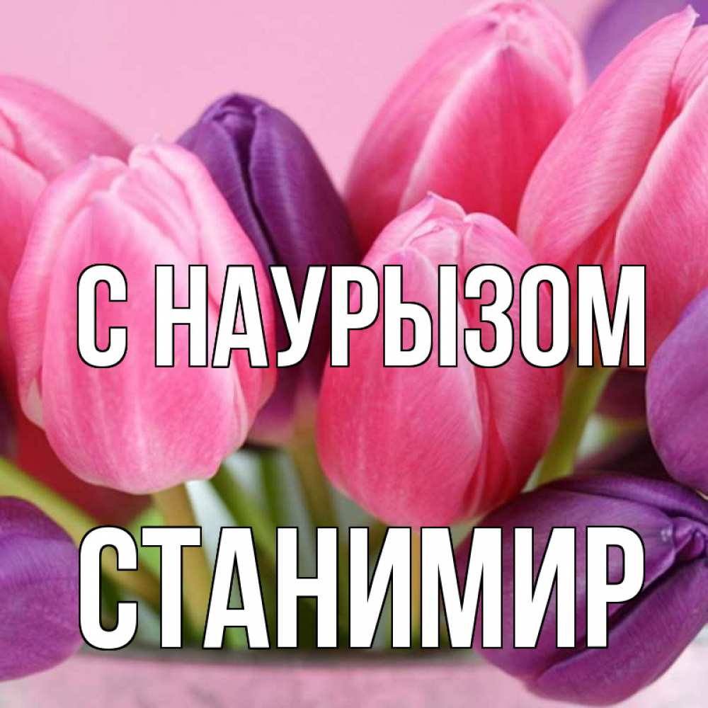 Открытка на каждый день с именем, Станимир С наурызом маме 1 Прикольная открытка с пожеланием онлайн скачать бесплатно 