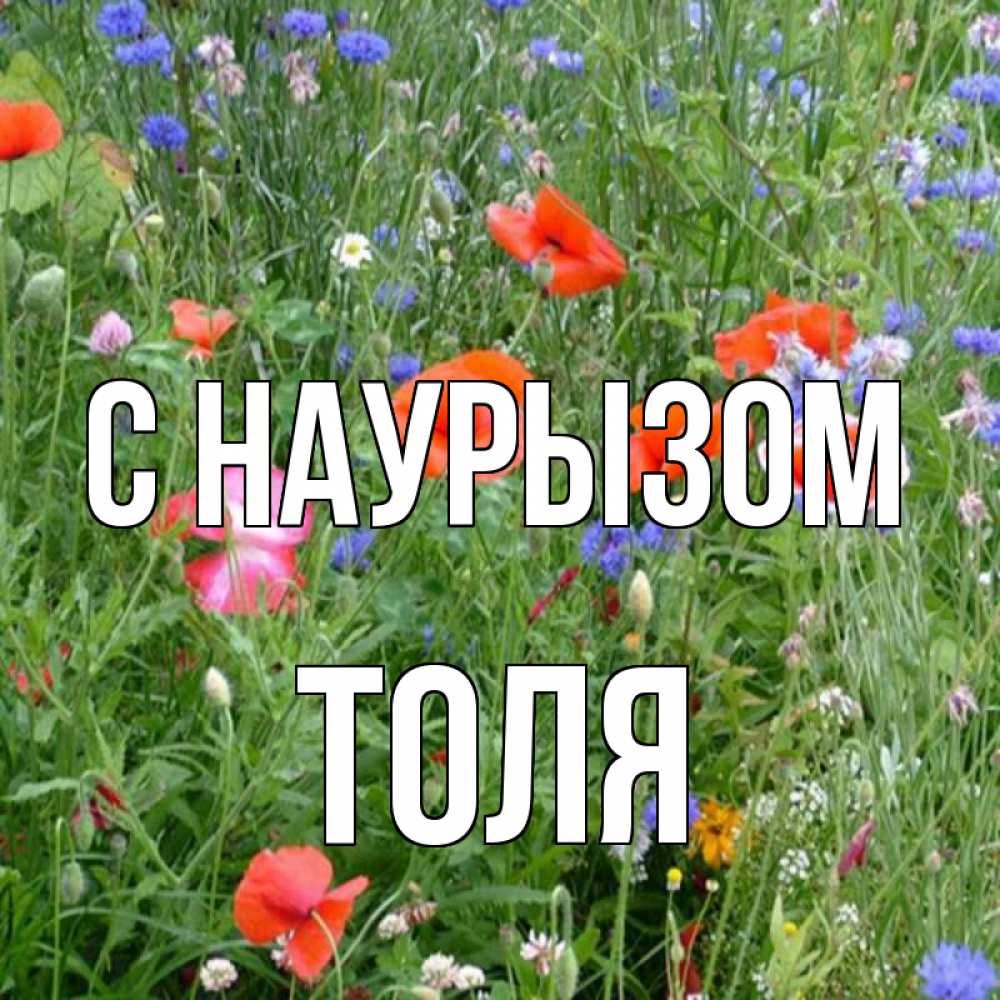 Открытка на каждый день с именем, Толя С наурызом праздник весны наурыз супер открытка Прикольная открытка с пожеланием онлайн скачать бесплатно 