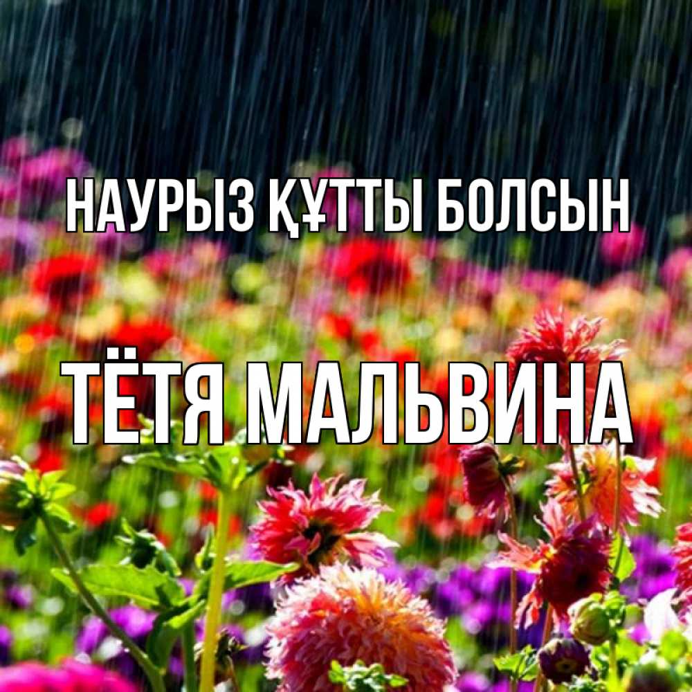 Открытка на каждый день с именем, Тётя-Мальвина Наурыз құтты болсын цветы под дождиком к наурызу Прикольная открытка с пожеланием онлайн скачать бесплатно 