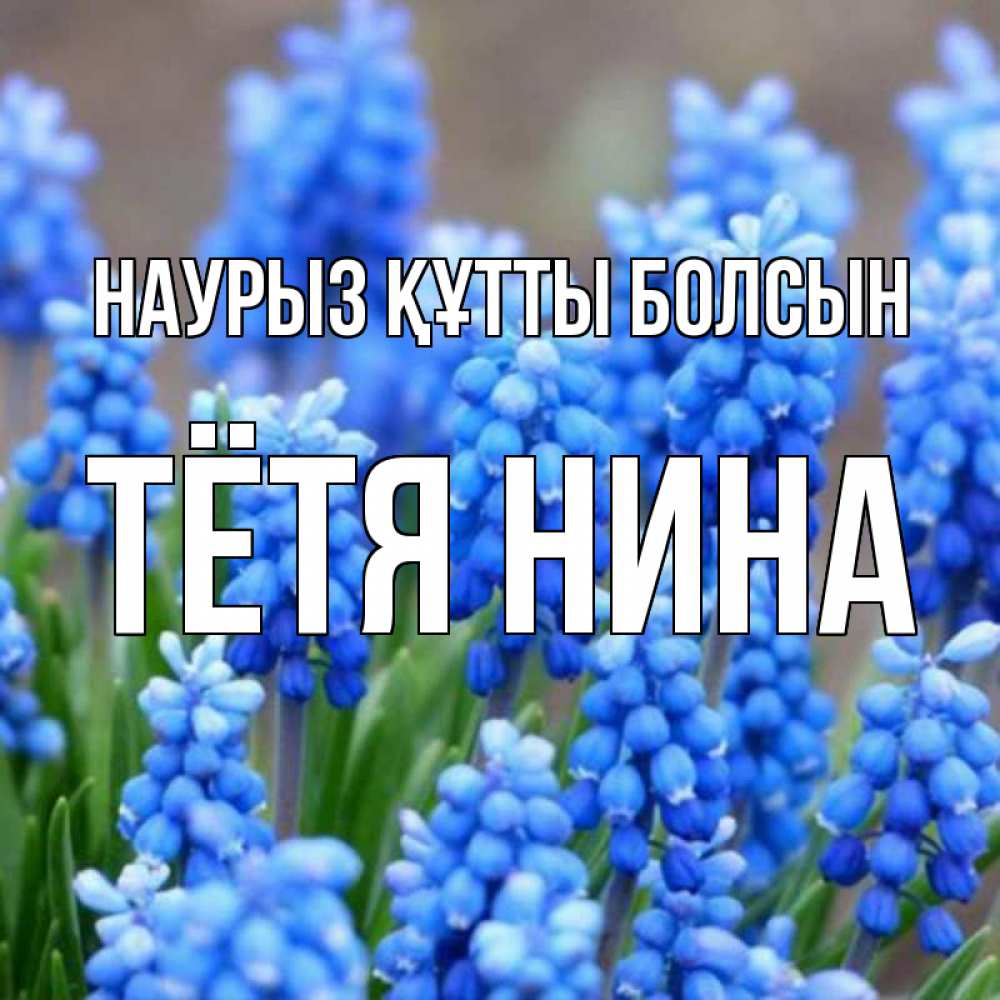 Открытка на каждый день с именем, Тётя-Нина Наурыз құтты болсын Поздравительная открытка для женщин с цветами на праздничную дату Прикольная открытка с пожеланием онлайн скачать бесплатно 