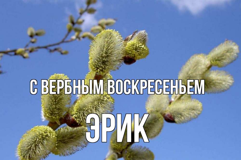 Открытка на каждый день с именем, Эрик С вербным воскресеньем верба Прикольная открытка с пожеланием онлайн скачать бесплатно 