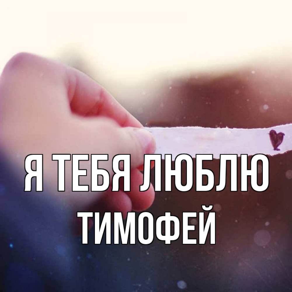 Открытка на каждый день с именем, тимофей Я тебя люблю для тебя Прикольная открытка с пожеланием онлайн скачать бесплатно 