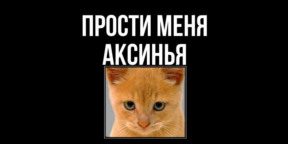 Открытка на каждый день с именем, Аксинья Прости меня рыжий грустный кот просит прощения Прикольная открытка с пожеланием онлайн скачать бесплатно 