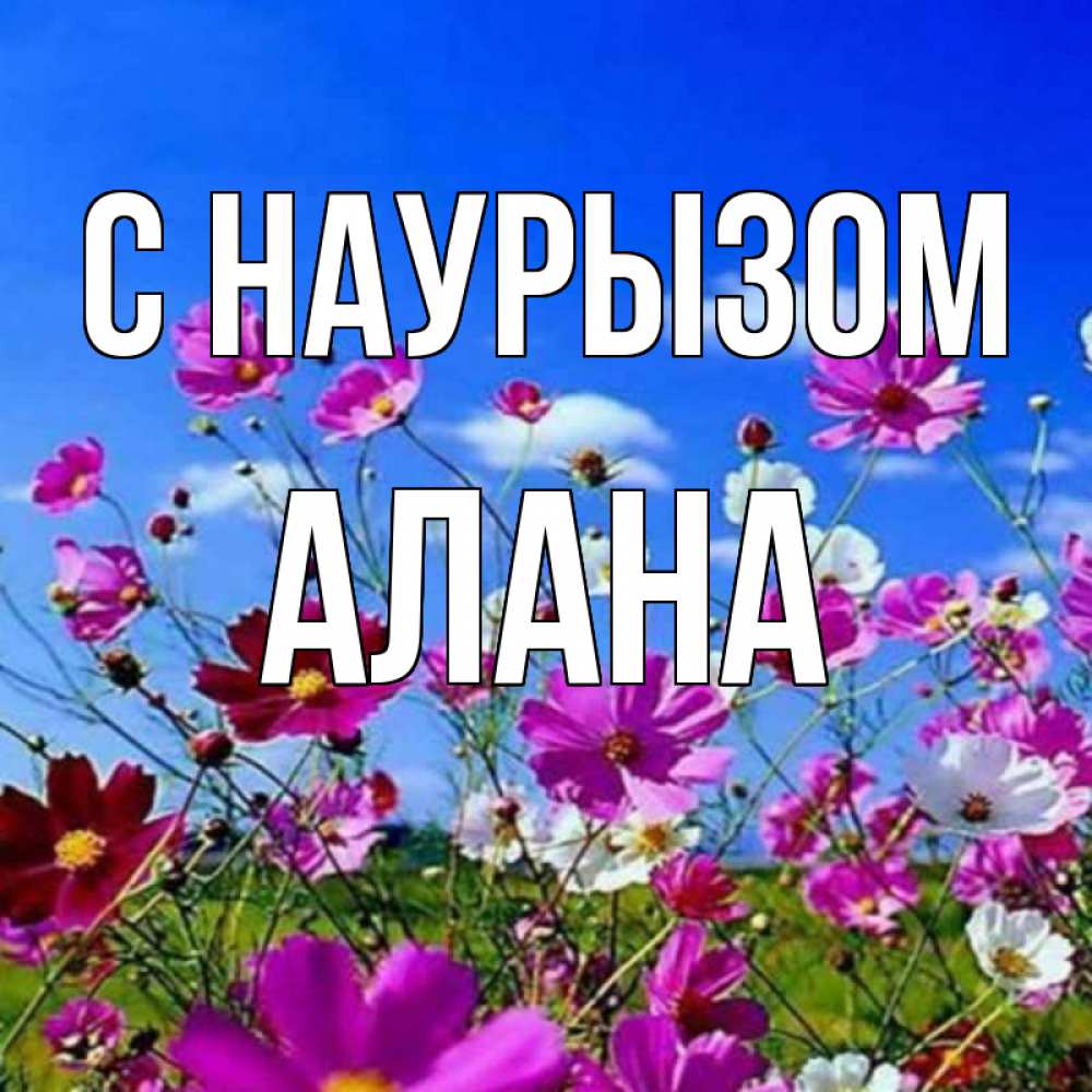 Открытка на каждый день с именем, Алана С наурызом цветы Прикольная открытка с пожеланием онлайн скачать бесплатно 