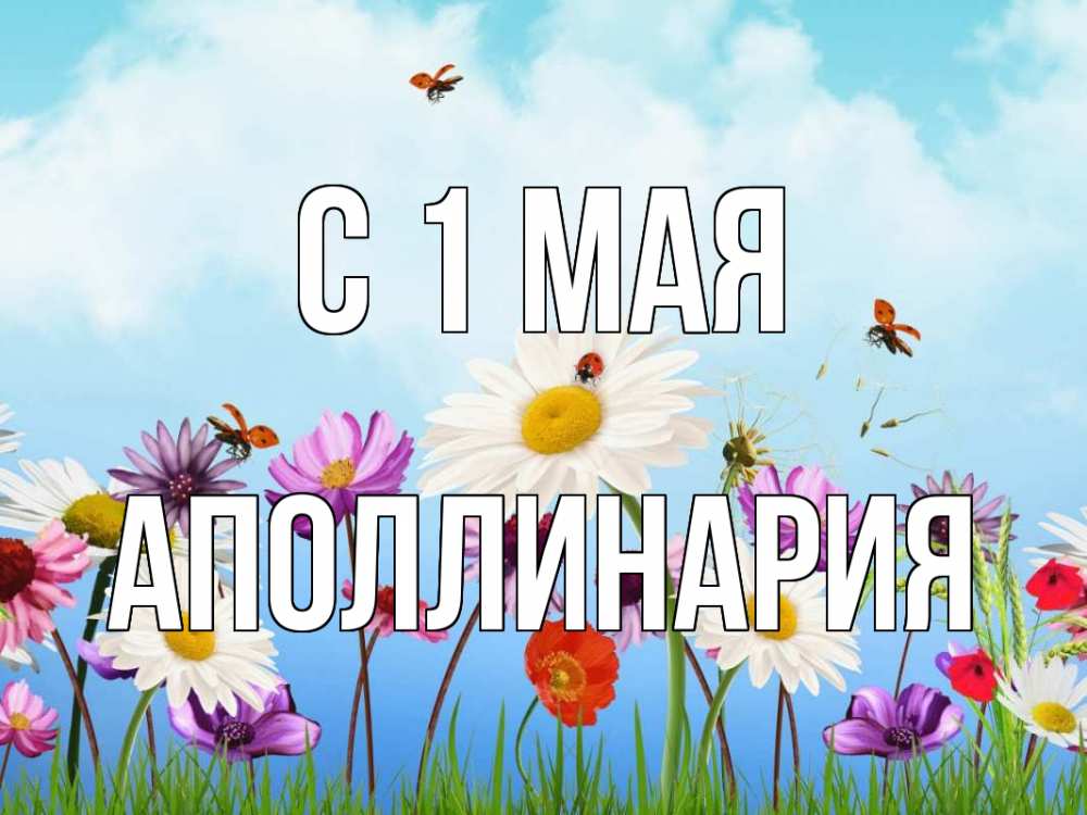 Открытка на каждый день с именем, Аполлинария С 1 мая С 1 мая Прикольная открытка с пожеланием онлайн скачать бесплатно 