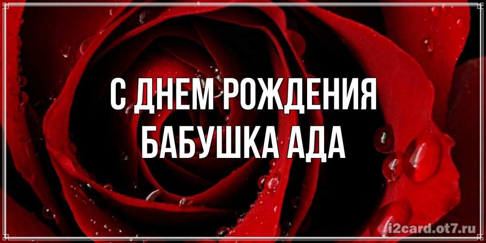 Открытка на каждый день с именем, Бабушка-Ада С днем рождения крупная бордовая роза Прикольная открытка с пожеланием онлайн скачать бесплатно 