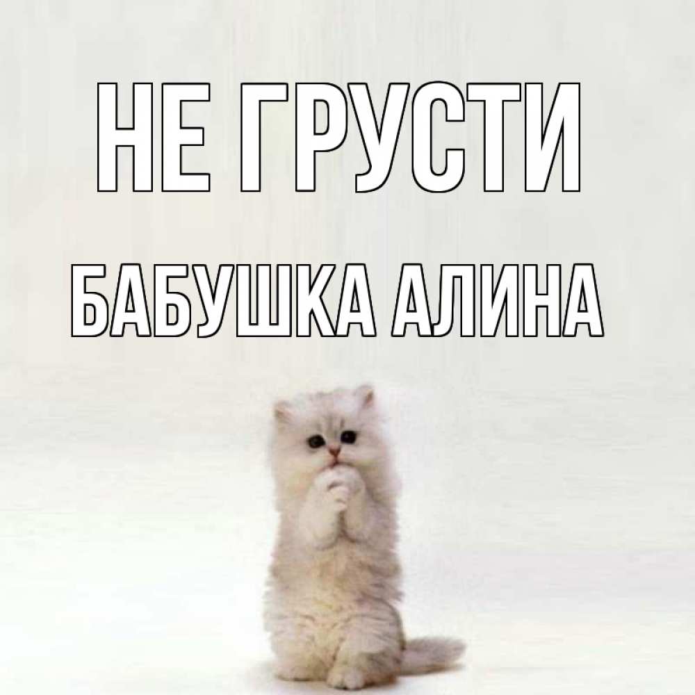 Открытка на каждый день с именем, Бабушка-Алина Не грусти грустный кот Прикольная открытка с пожеланием онлайн скачать бесплатно 