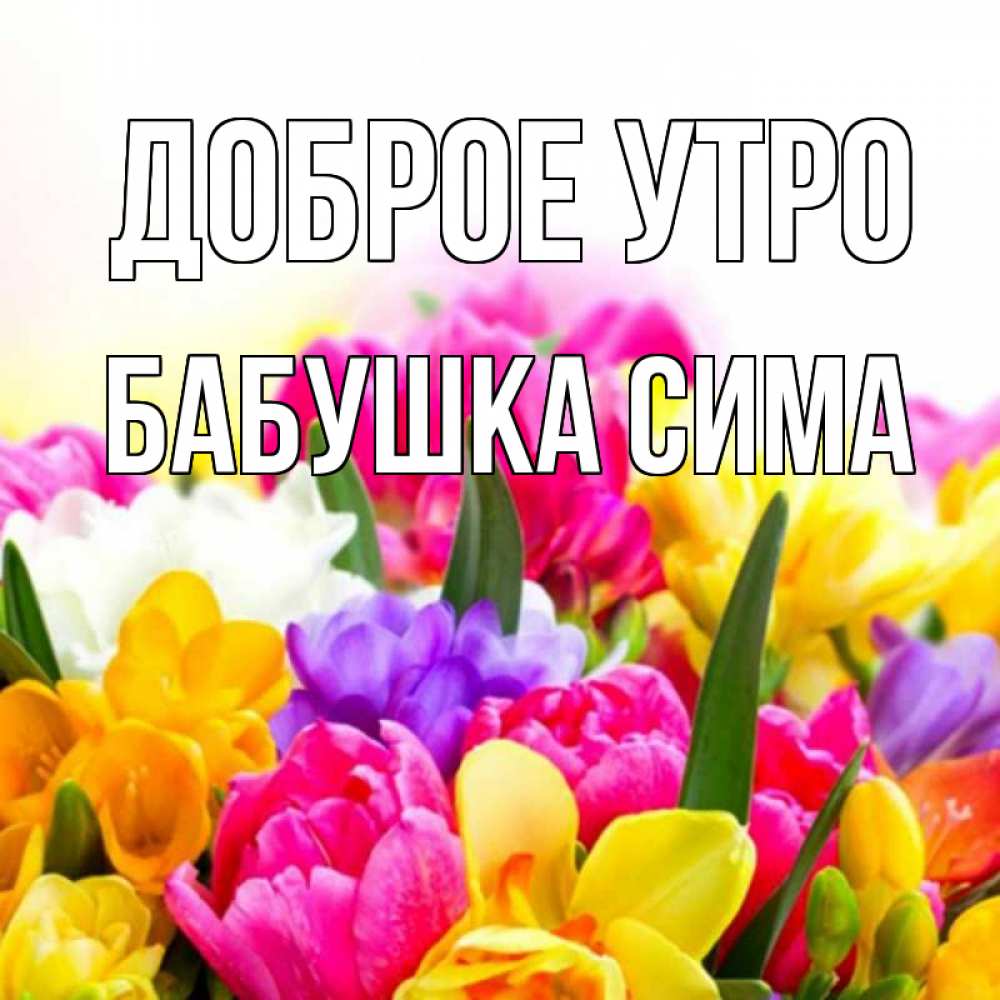 Открытка на каждый день с именем, Бабушка-Сима Доброе утро создать открытку со свое подписью Прикольная открытка с пожеланием онлайн скачать бесплатно 
