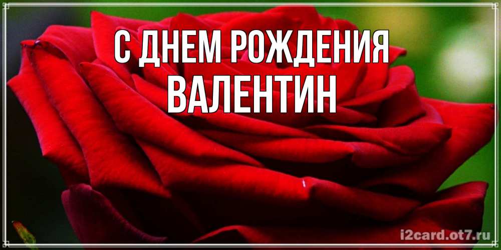 Открытка на каждый день с именем, Валентин С днем рождения розочка очень красивая Прикольная открытка с пожеланием онлайн скачать бесплатно 