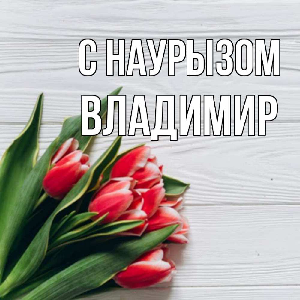 Открытка на каждый день с именем, Владимир С наурызом весна 2 Прикольная открытка с пожеланием онлайн скачать бесплатно 