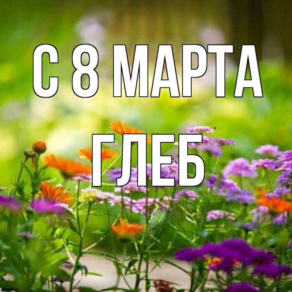 Открытка на каждый день с именем, Глеб С 8 марта цветы Прикольная открытка с пожеланием онлайн скачать бесплатно 
